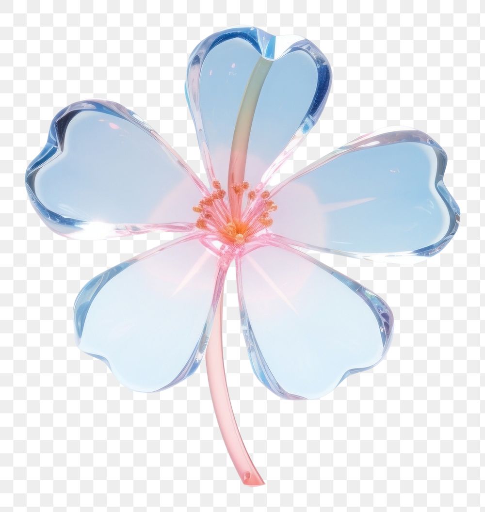 PNG Spring blossom jewelry flower.