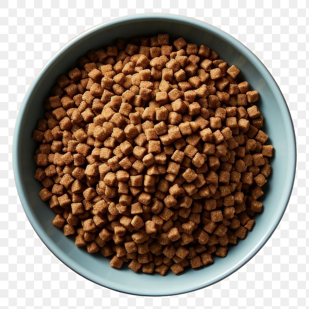 PNG  Dog bowl food simplicity ingredient. AI generated Image by rawpixel.