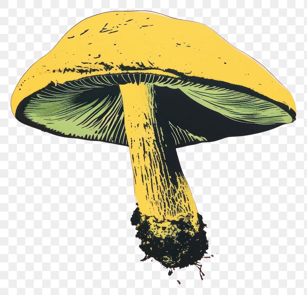 PNG Mushroom fungus nature yellow.