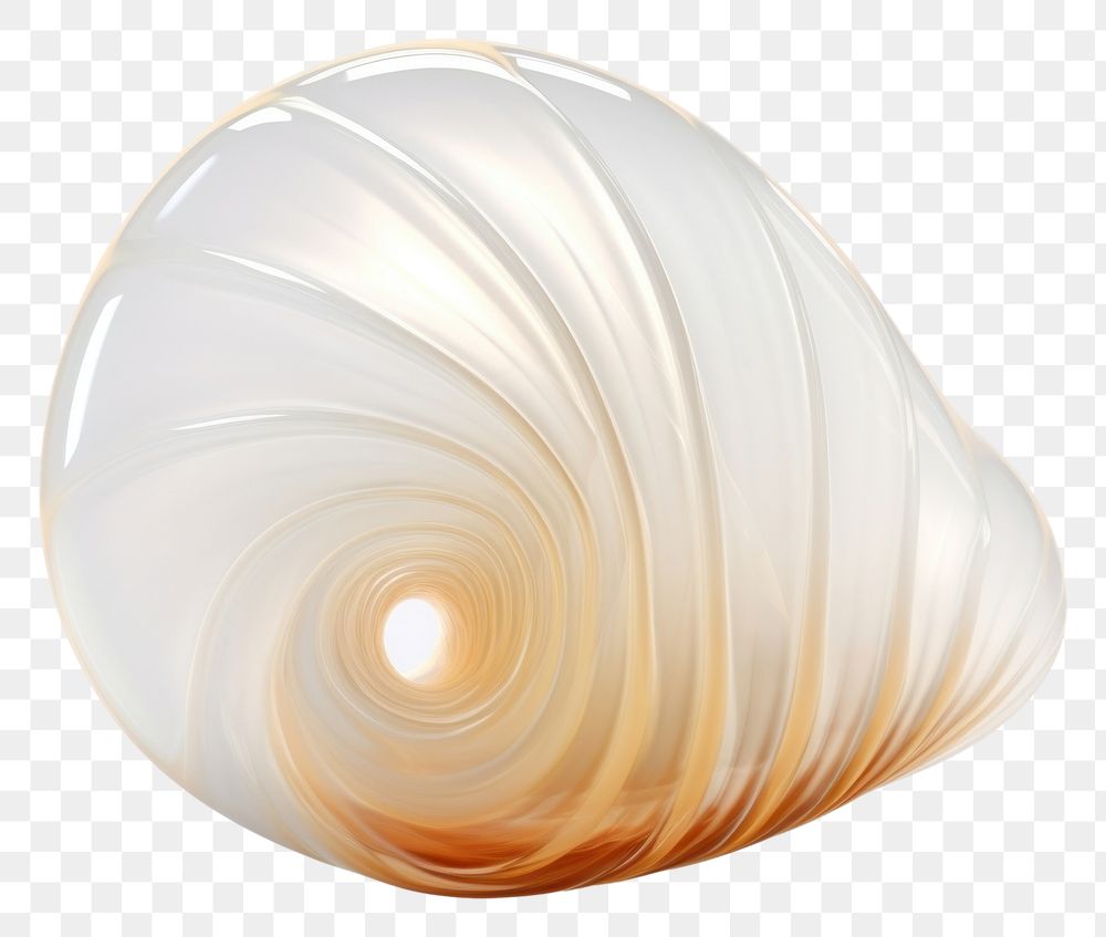 PNG Shell jewelry white background invertebrate.