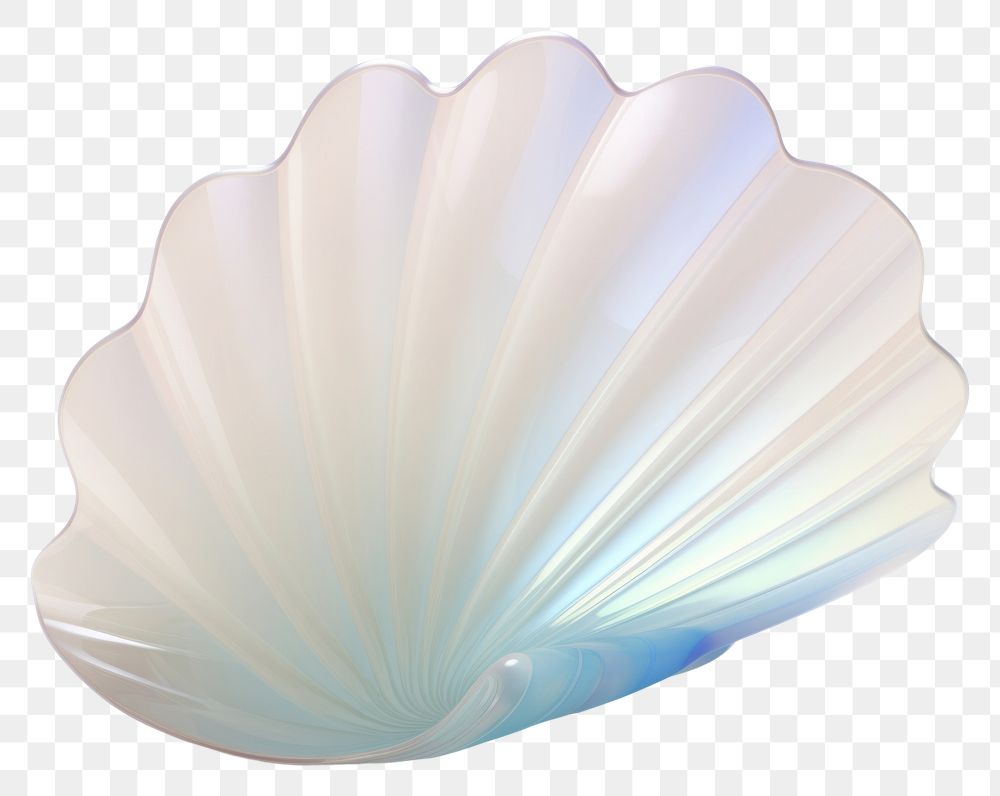 PNG Shell invertebrate translucent seashell.