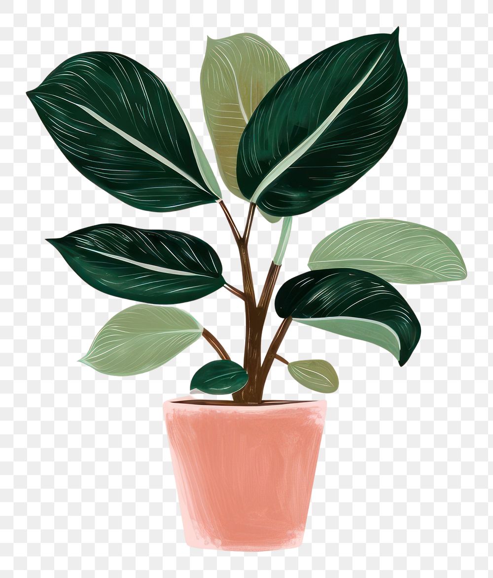 PNG Philodendron plant houseplant leaf freshness.