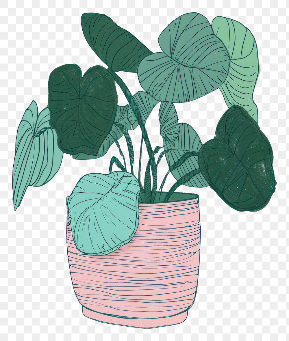 PNG Pinstripe Plant plant drawing sketch leaf.