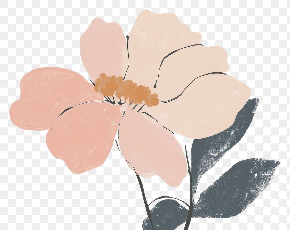 PNG Cute chinese flower illustration painting blossom anemone.