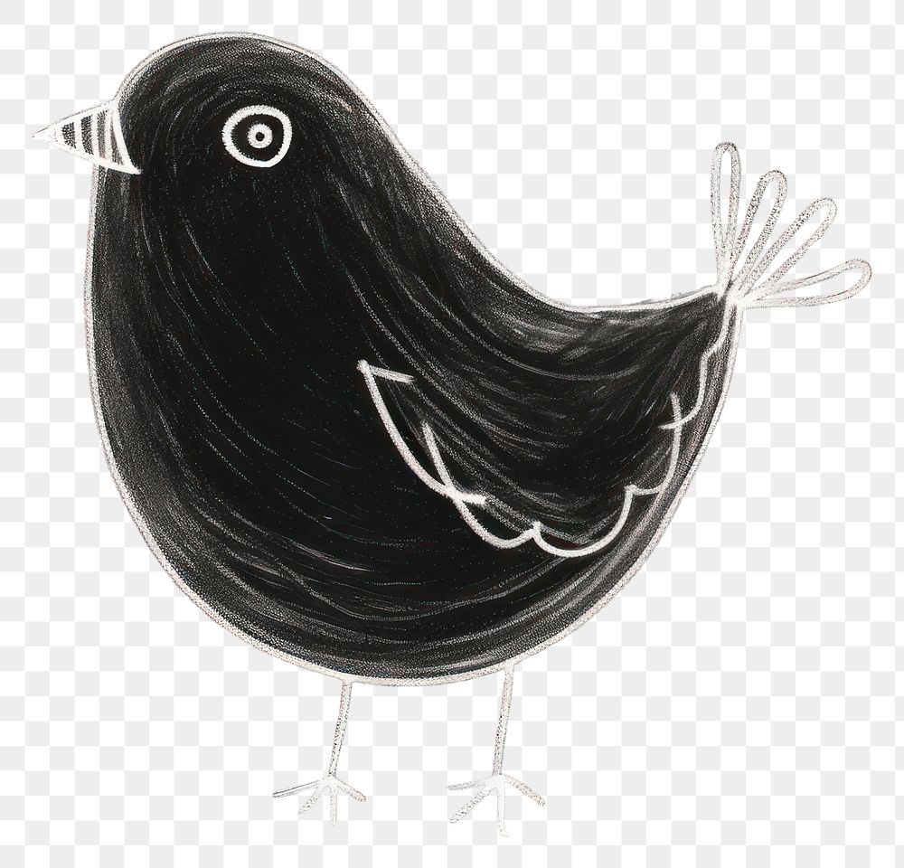 PNG  Chalk style bird drawing animal sketch.