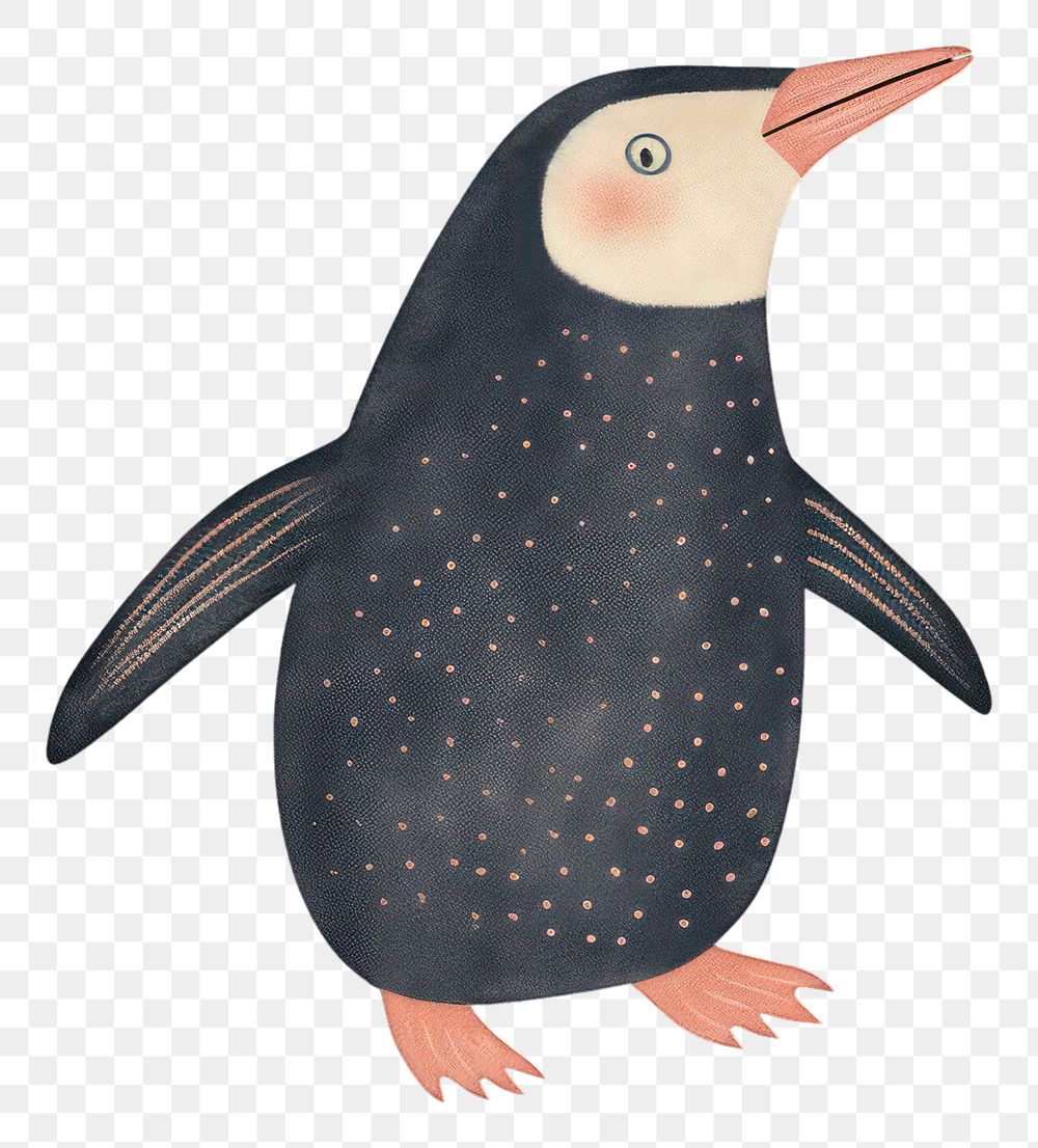 PNG  Chalk style penguin animal black bird.