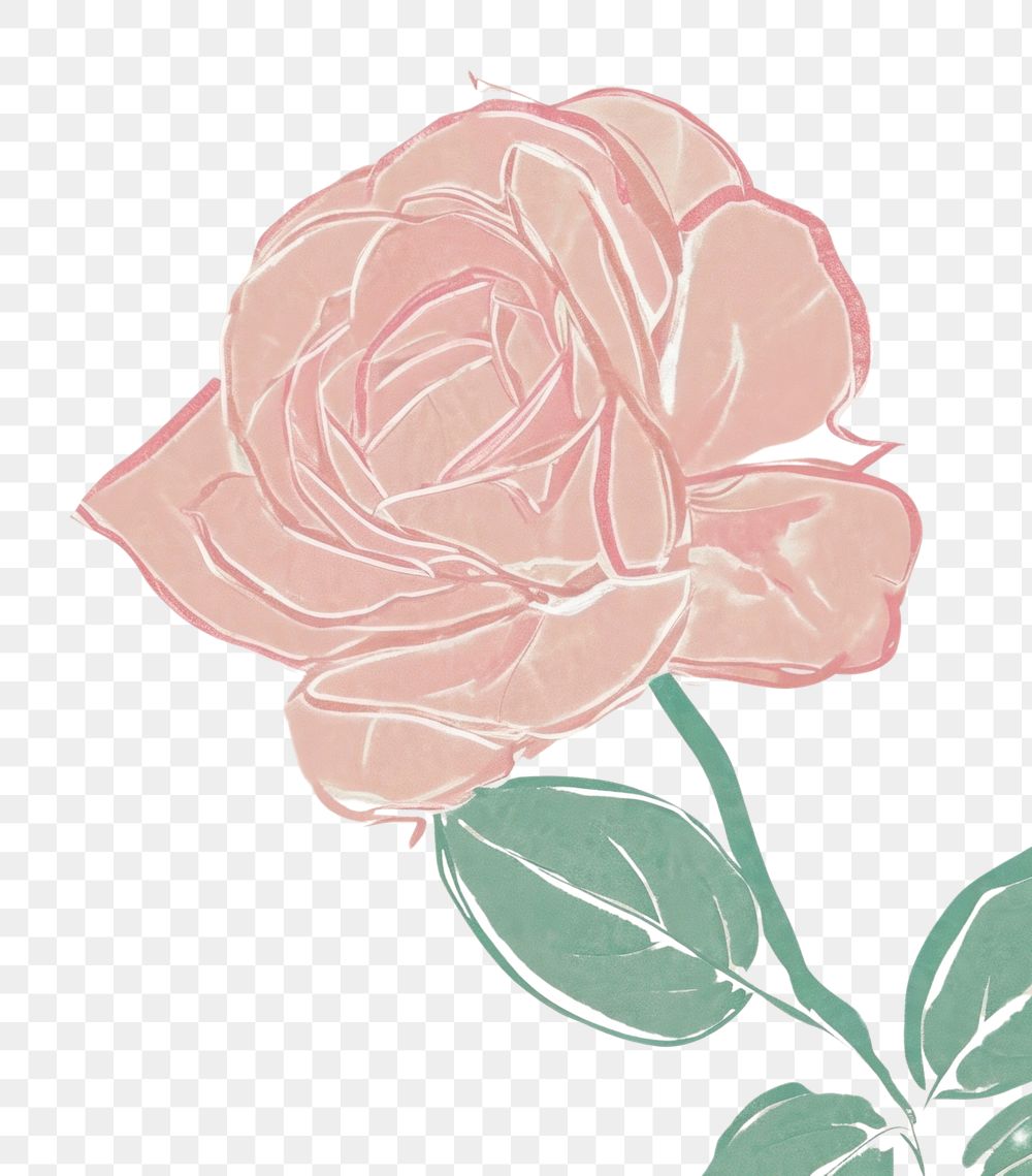 PNG Cute rose illustration painting blossom pattern.