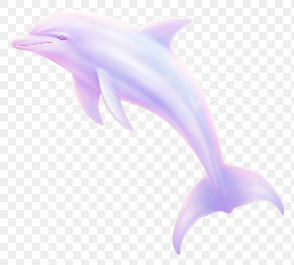 PNG  Dolphin backgrounds animal underwater.