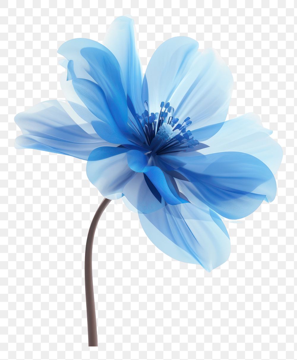 PNG  Blue flower nature petal plant.