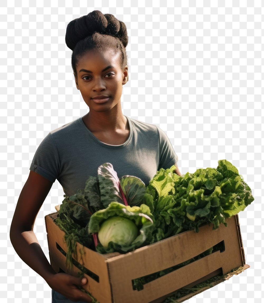 PNG Young woman carrying a box with vegetables portrait garden green.