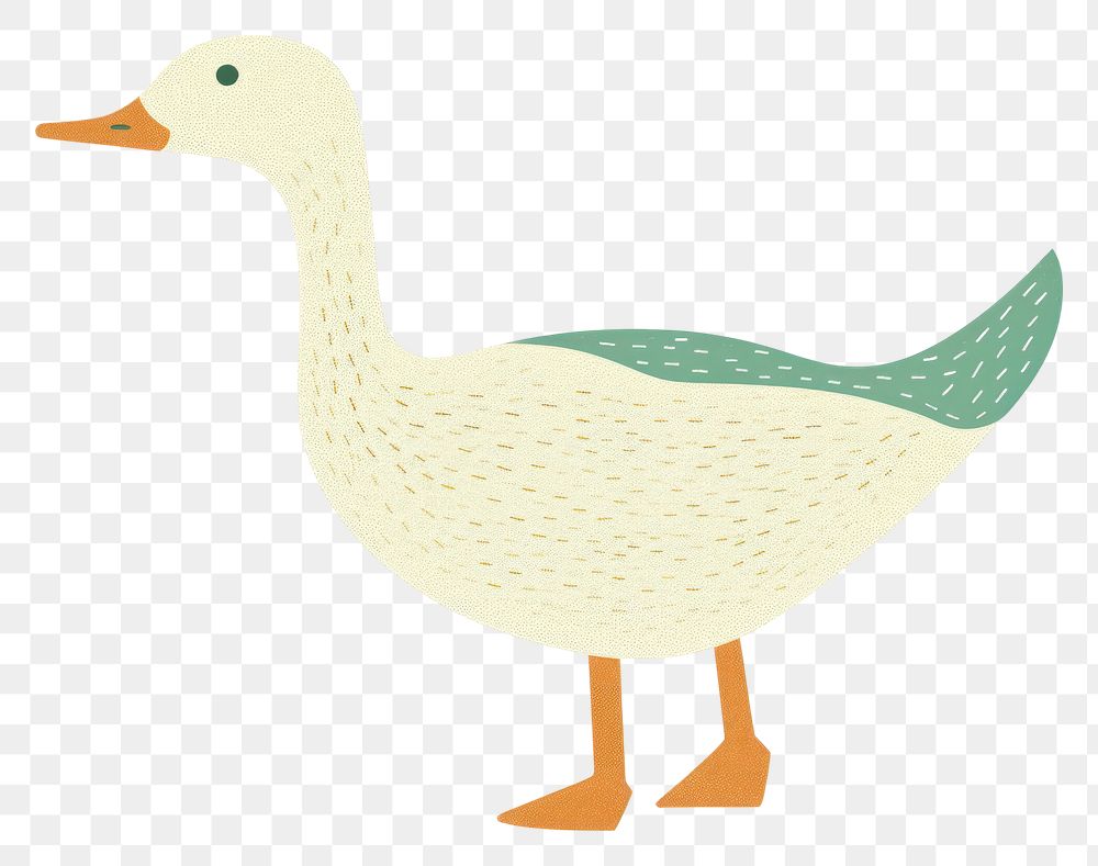 PNG Duck animal goose bird.