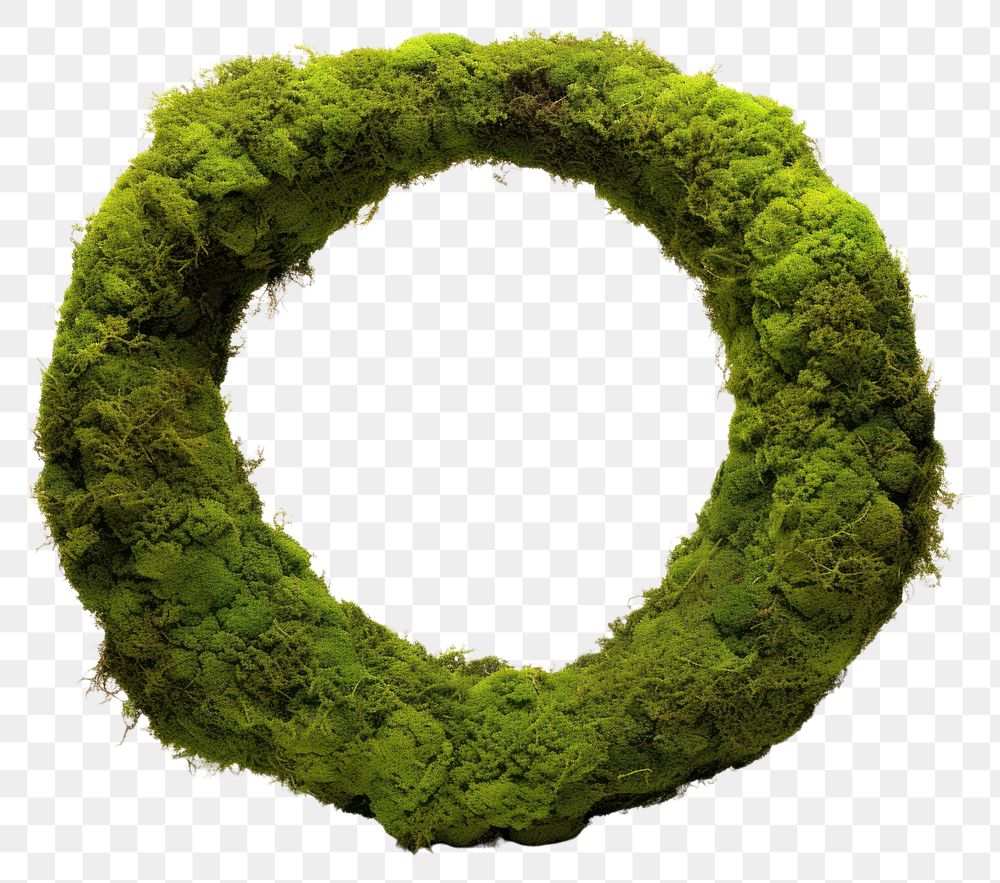 PNG  Circle wreath plant green. AI generated Image by rawpixel.