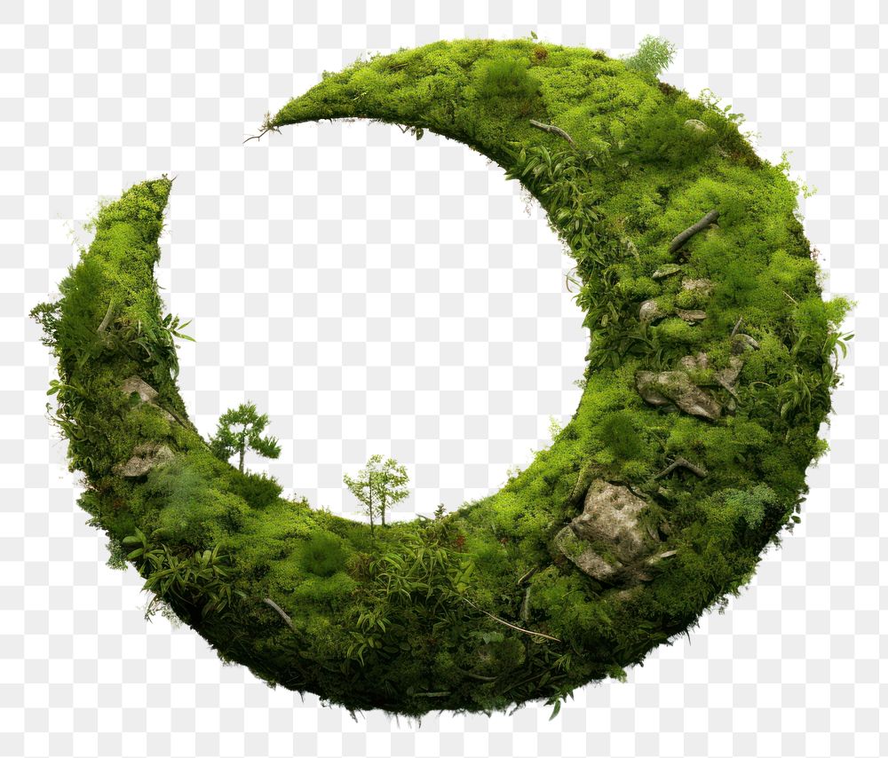 PNG  Crescent moss outdoors nature. AI generated Image by rawpixel.