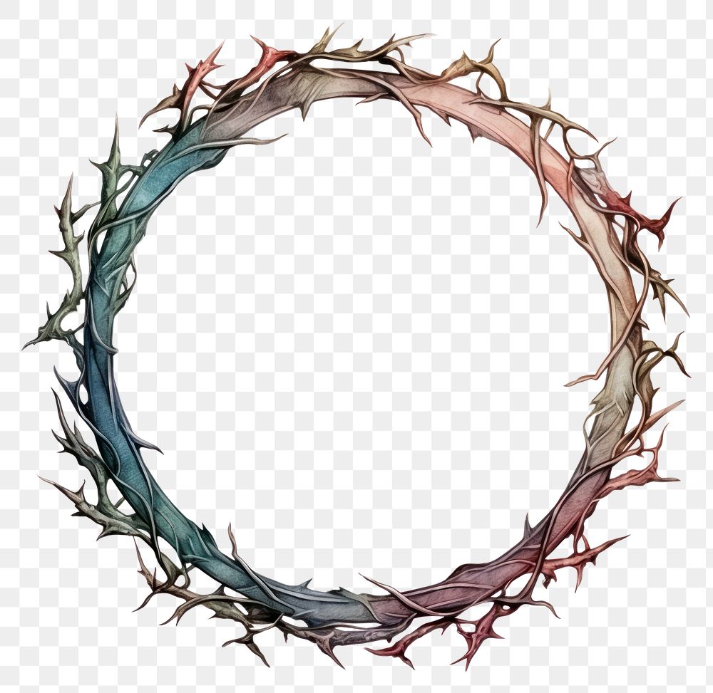 PNG  Thorns circle white background wreath. AI generated Image by rawpixel.