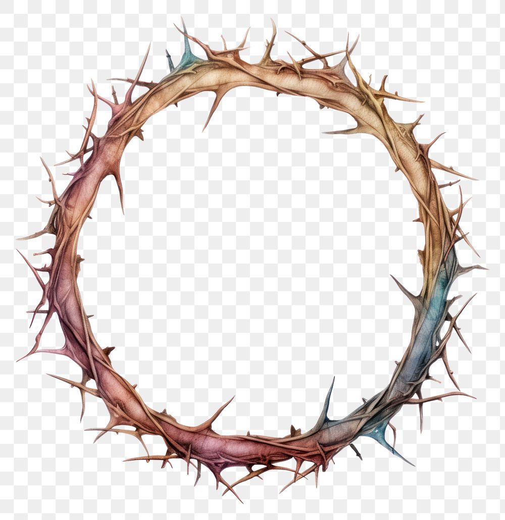 PNG  Thorns circle white background accessories