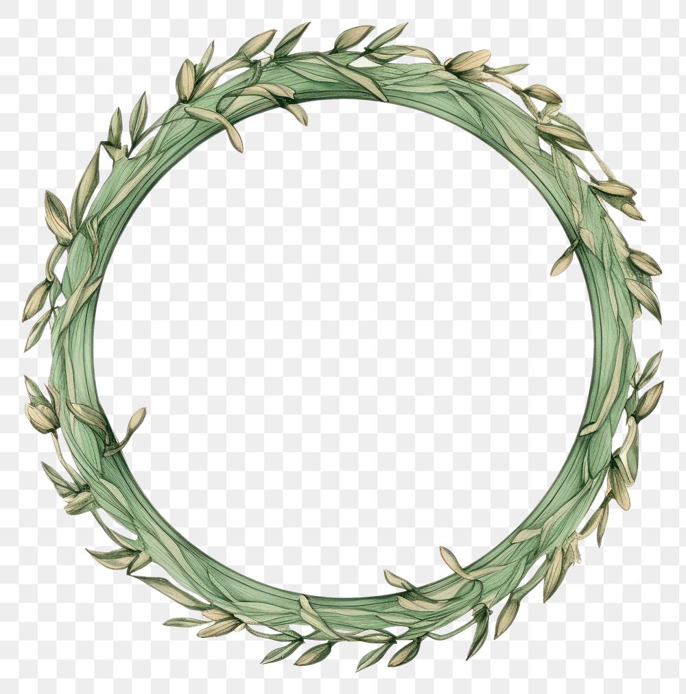 PNG  Cloves circle wreath green. AI generated Image by rawpixel.