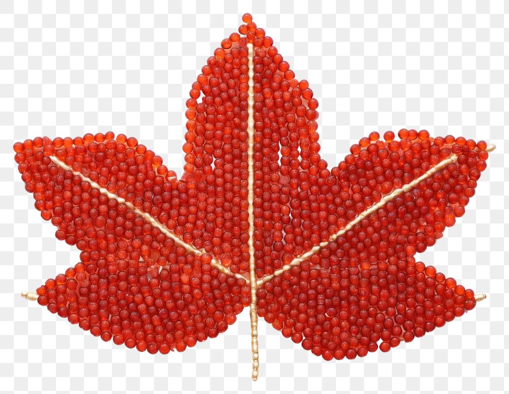 PNG Maple leaf bead necklace jewelry. 