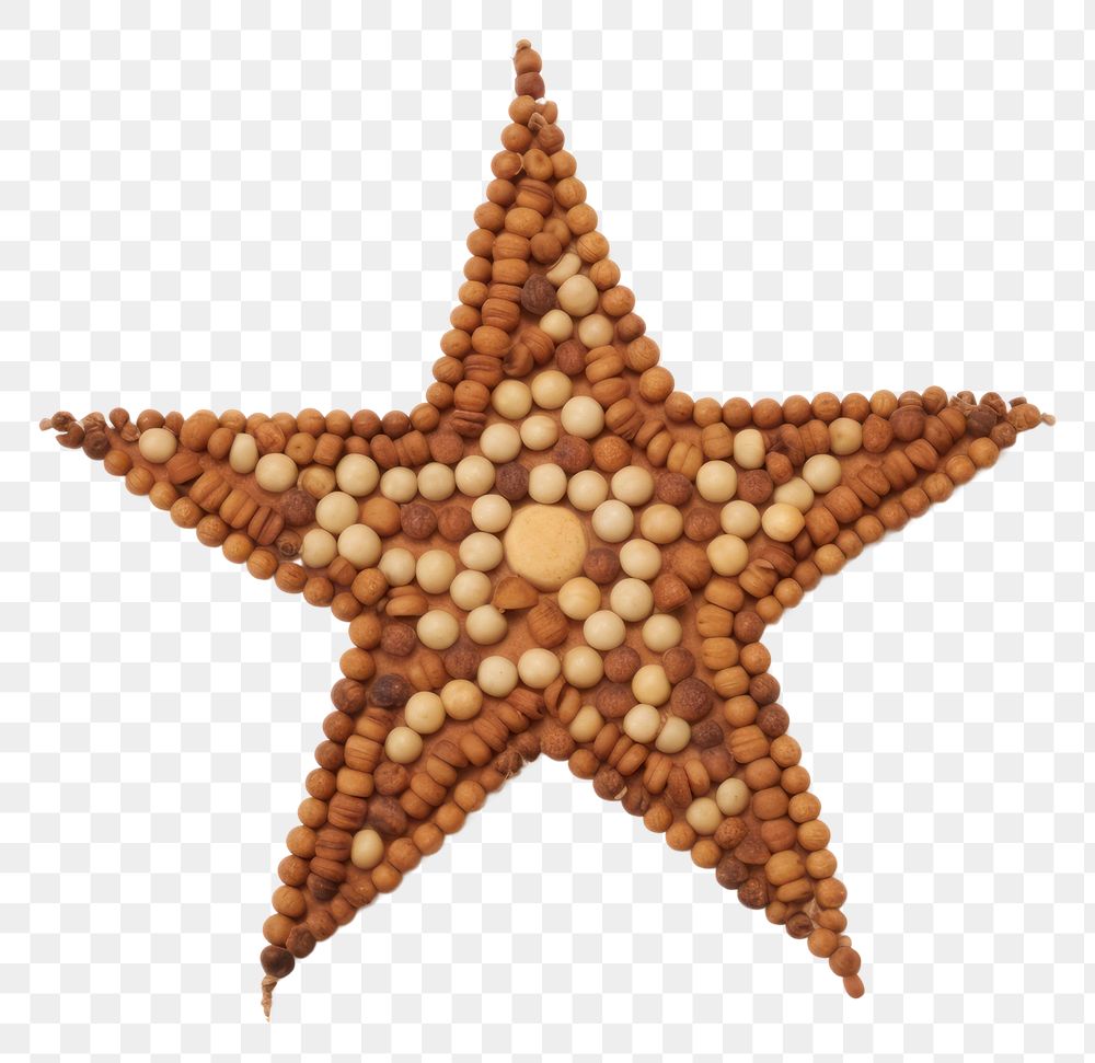 PNG Star white background echinoderm freshness. AI generated Image by rawpixel.