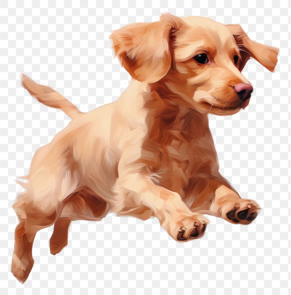 PNG Dog jumpping animal mammal puppy. AI generated Image by rawpixel.