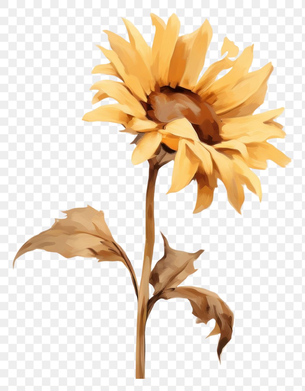PNG Sunflower outdoors plant inflorescence. AI generated Image by rawpixel.