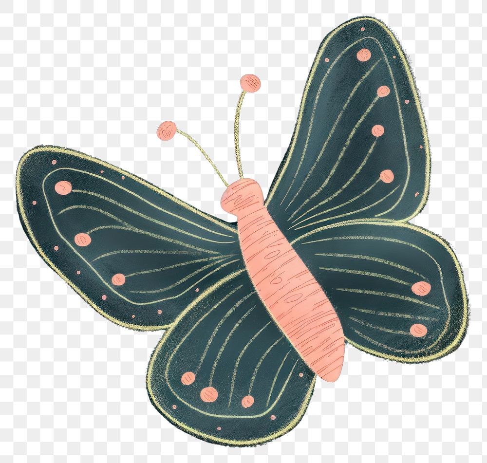 PNG  Chalk style butterfly pattern insect animal.
