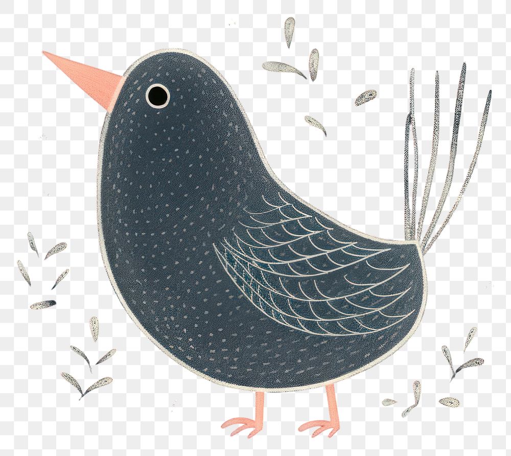 PNG  Chalk style bird animal black beak.