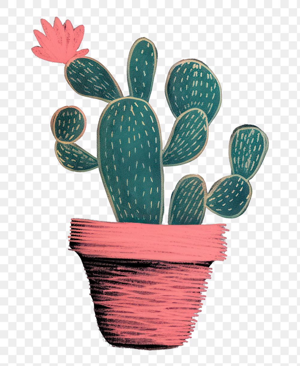 PNG  Chalk style cactus plant creativity flowerpot.