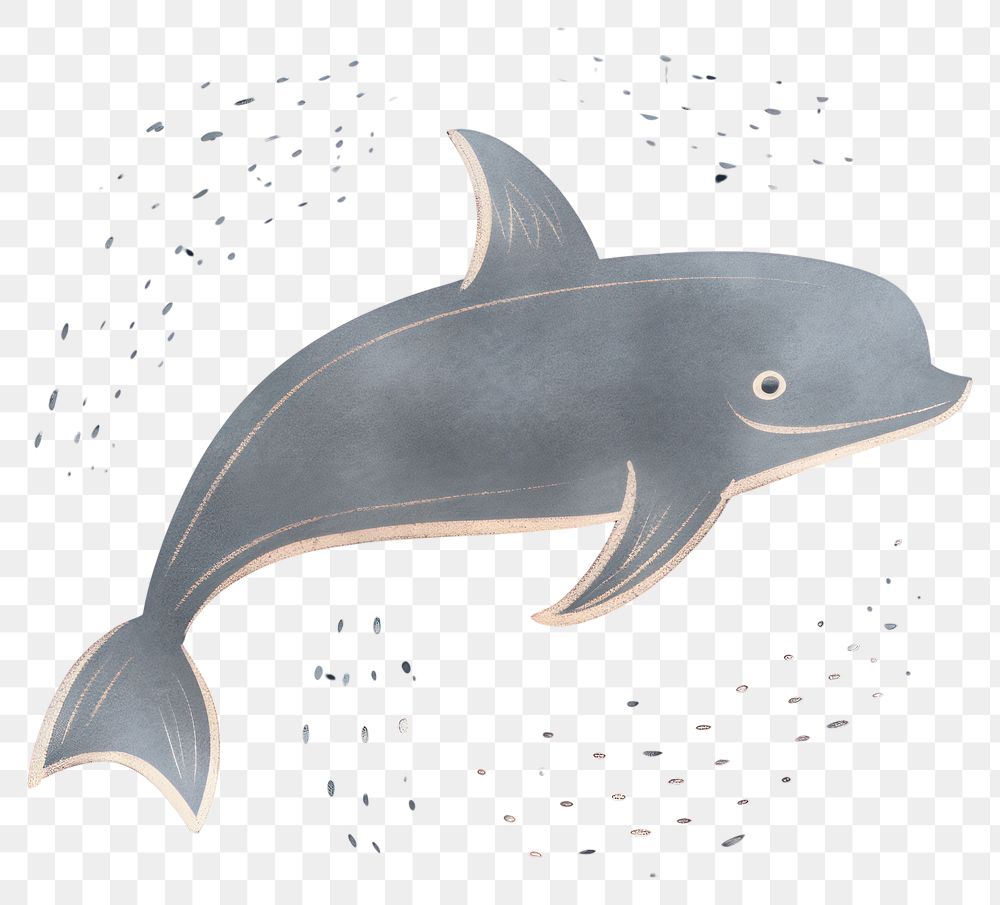 PNG  Chalk style dolphin animal mammal shark.