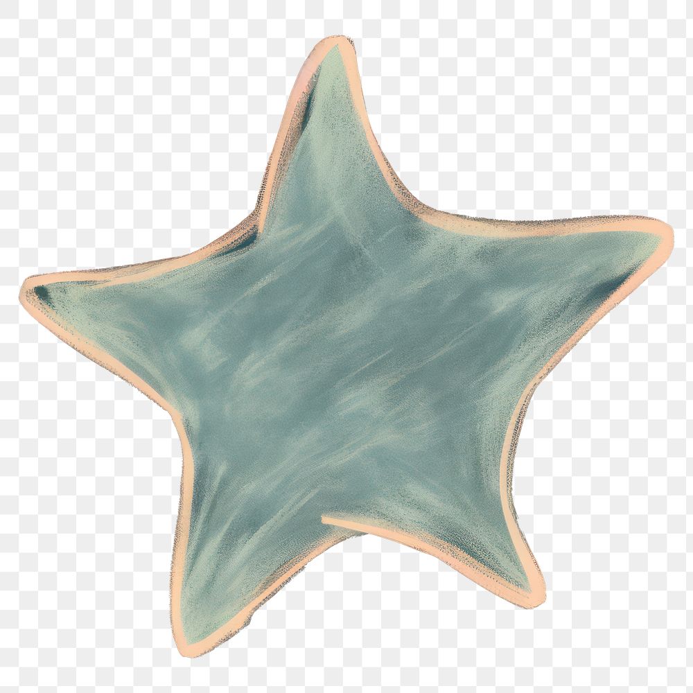 PNG  Chalk style star symbol echinoderm astronomy.