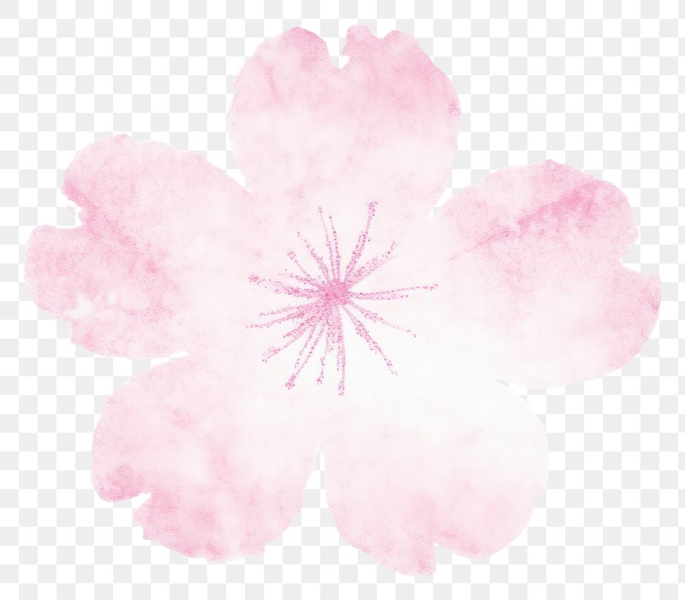 PNG  Sakura flower blossom petal plant. AI generated Image by rawpixel.