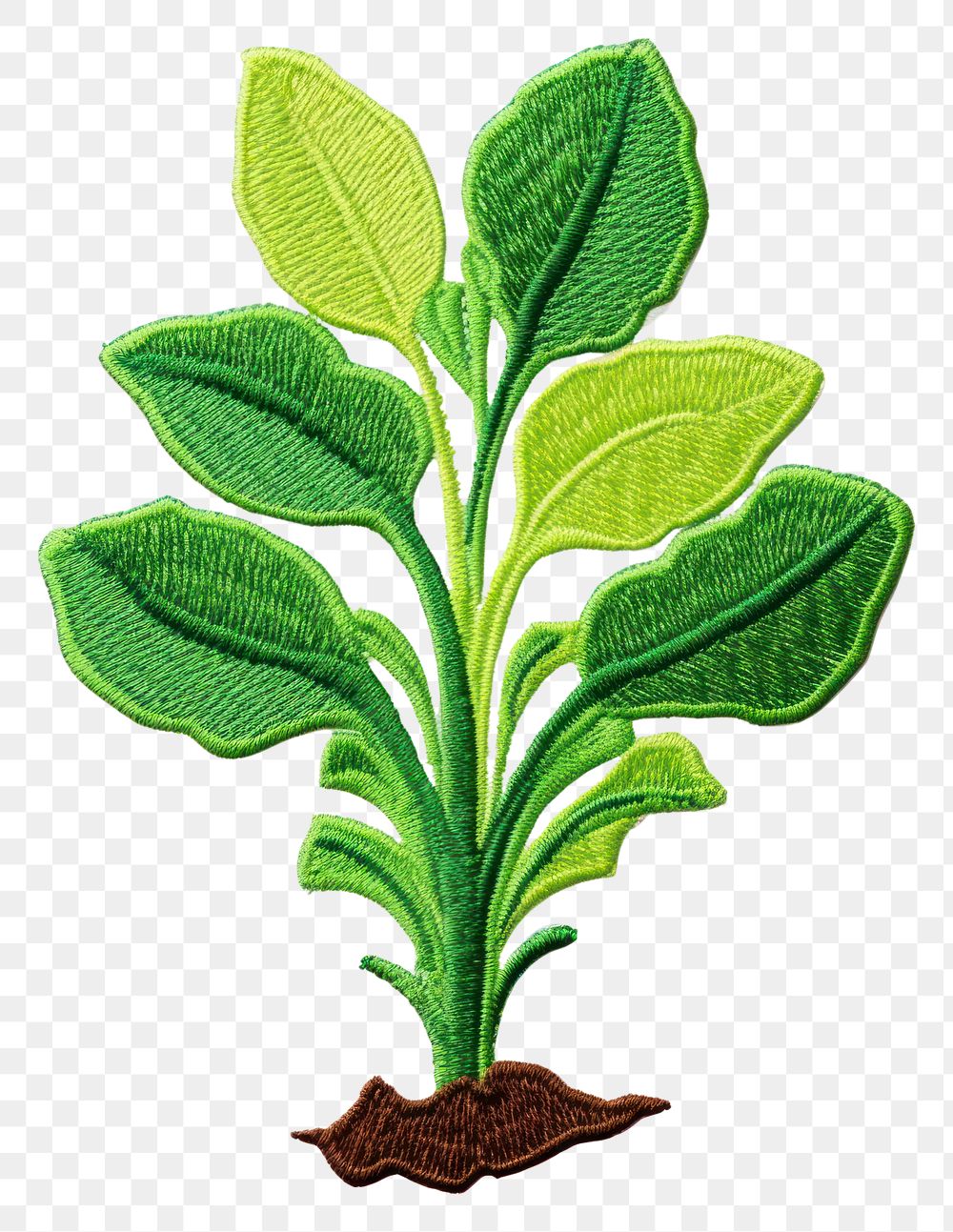 PNG Plant herbs leaf white background. AI generated Image by rawpixel.