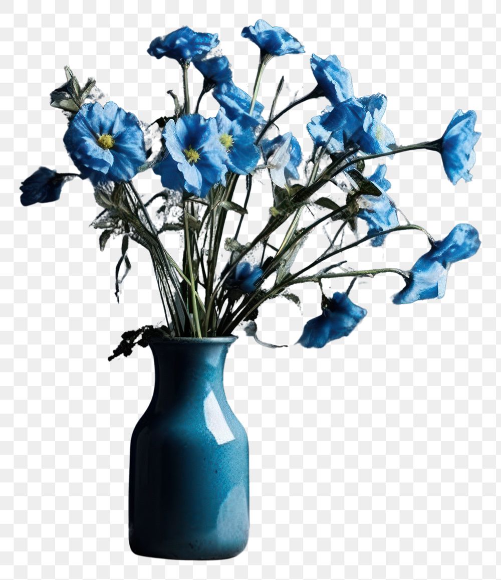 PNG Blue flowers vase plant freshness.