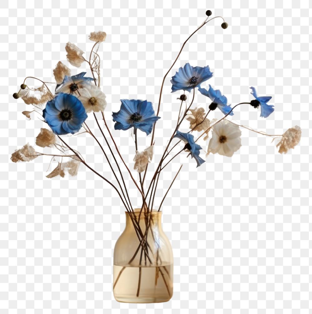 PNG Blue flowers plant vase art.