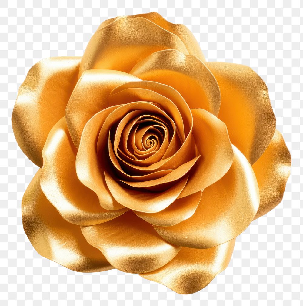 PNG Golden rose jewelry flower plant.