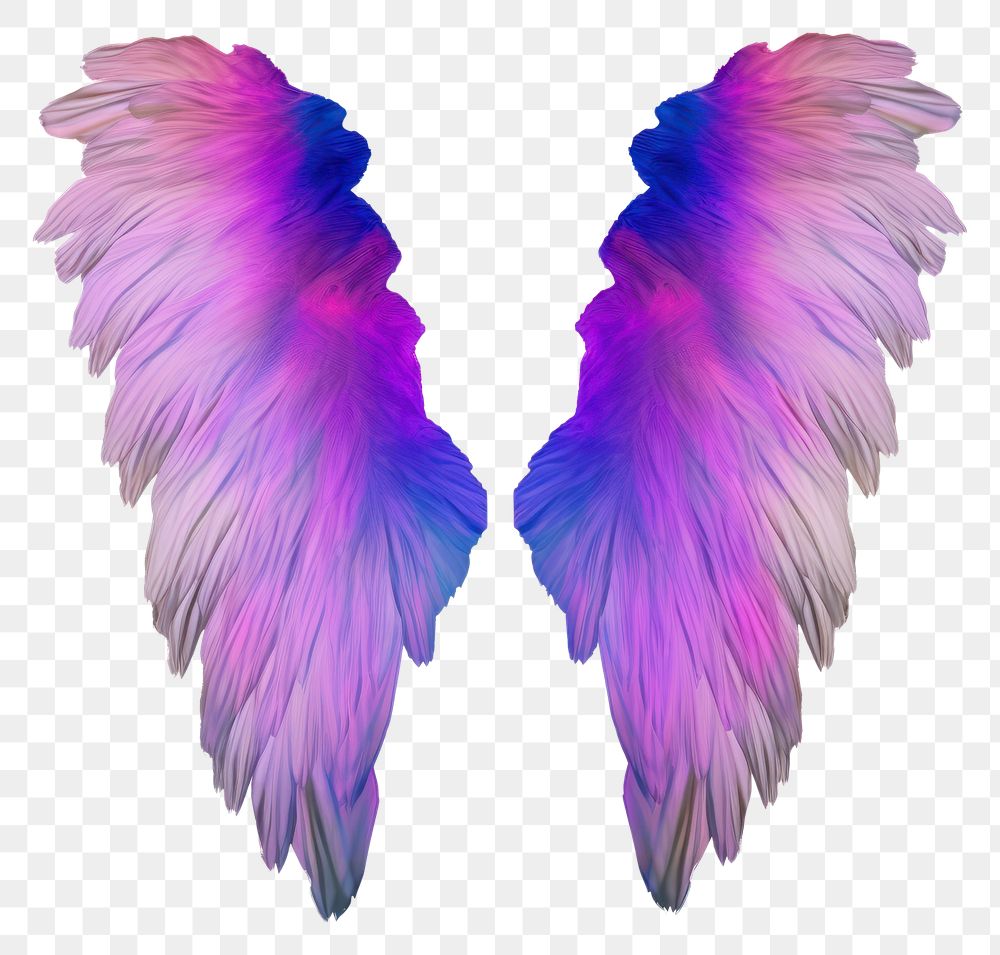 PNG A holography wings purple white background lightweight.