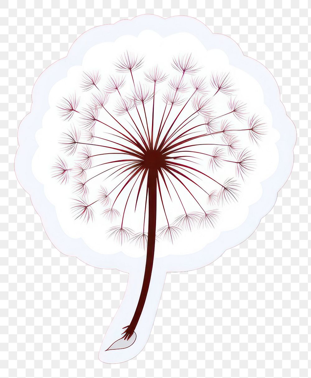 PNG Dandelion plant blossom nature.