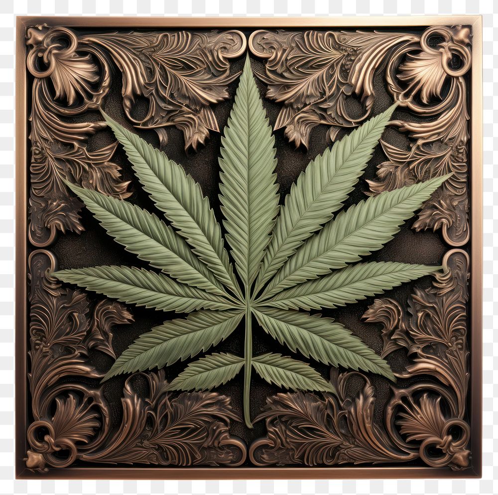 PNG Plant leaf creativity cannabis.