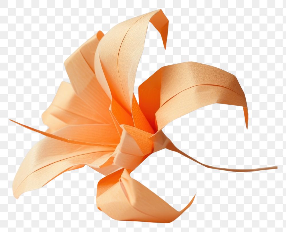 PNG Origami lily paper plant art.