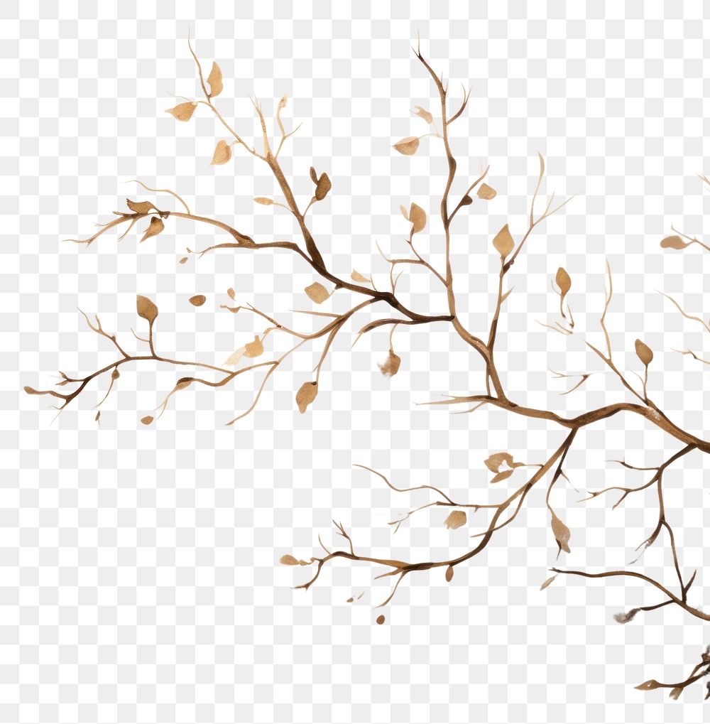 PNG Tree branch watercolor background backgrounds outdoors painting.