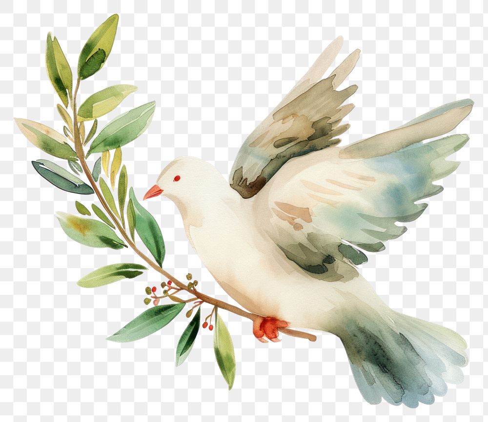 PNG Human rights concept animal bird dove.