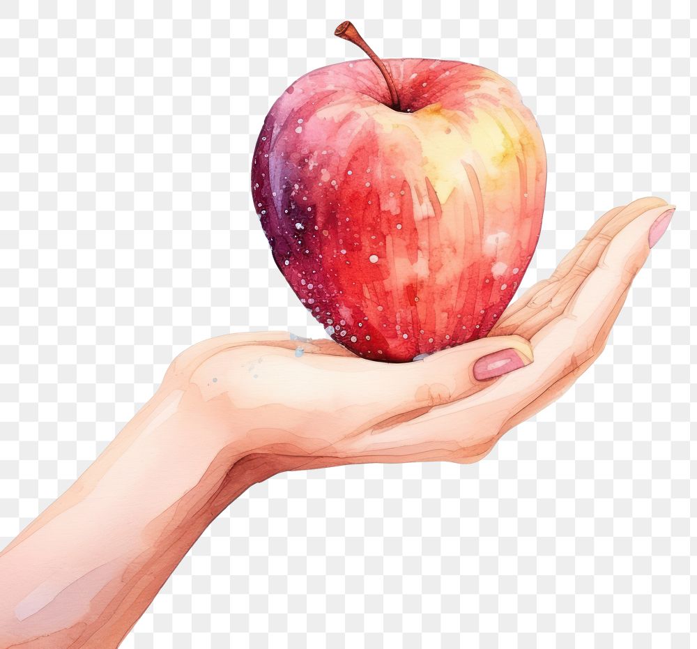 PNG Apple hand holding fruit.