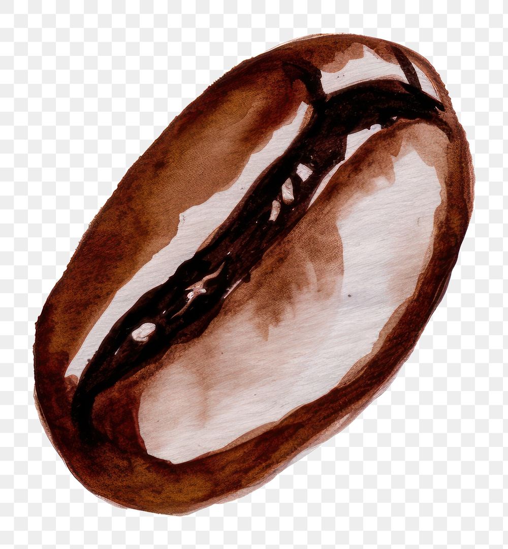 PNG Coffee bean in the style of minimalist illustrator white background coffee beans freshness.