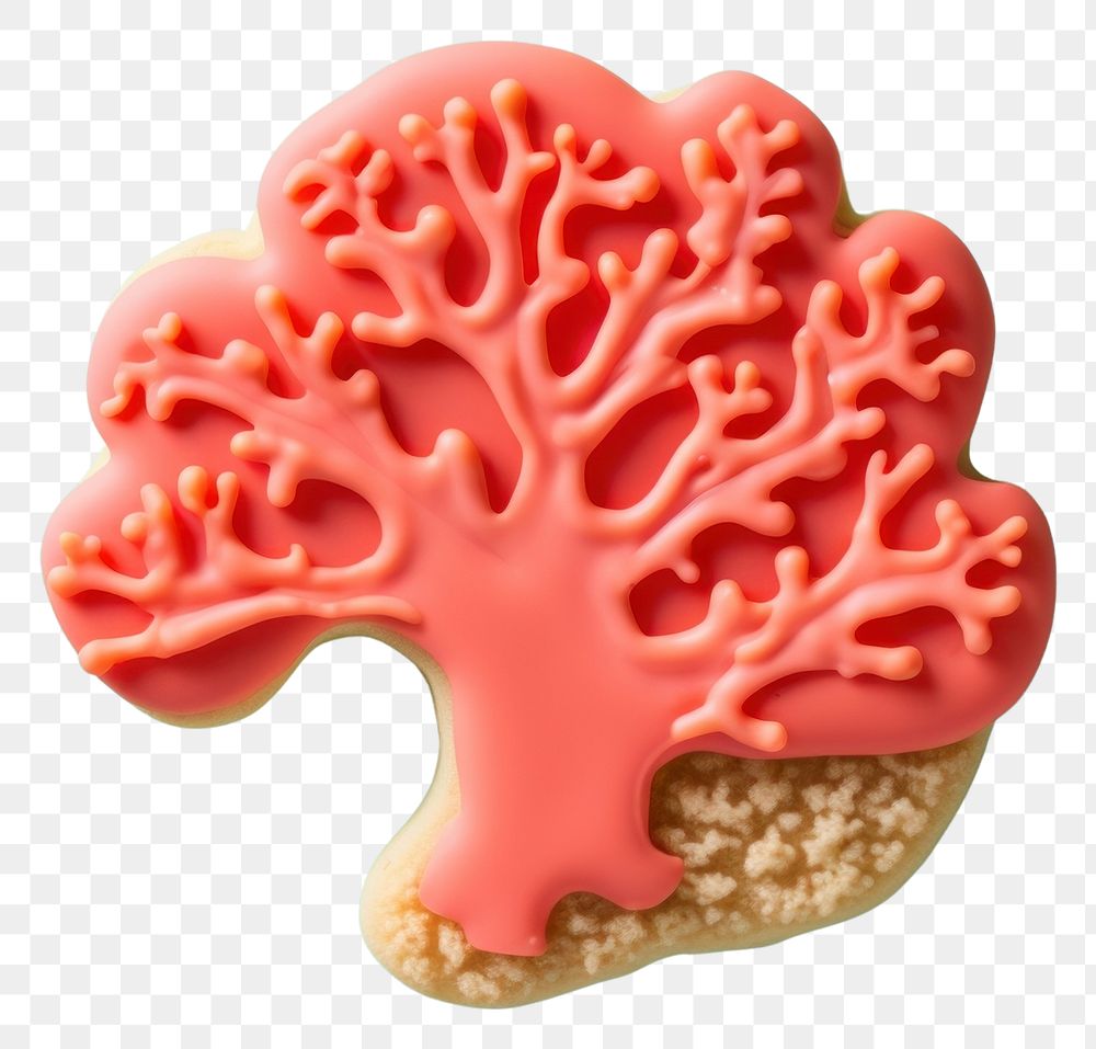 PNG Coral cookie icing dessert.