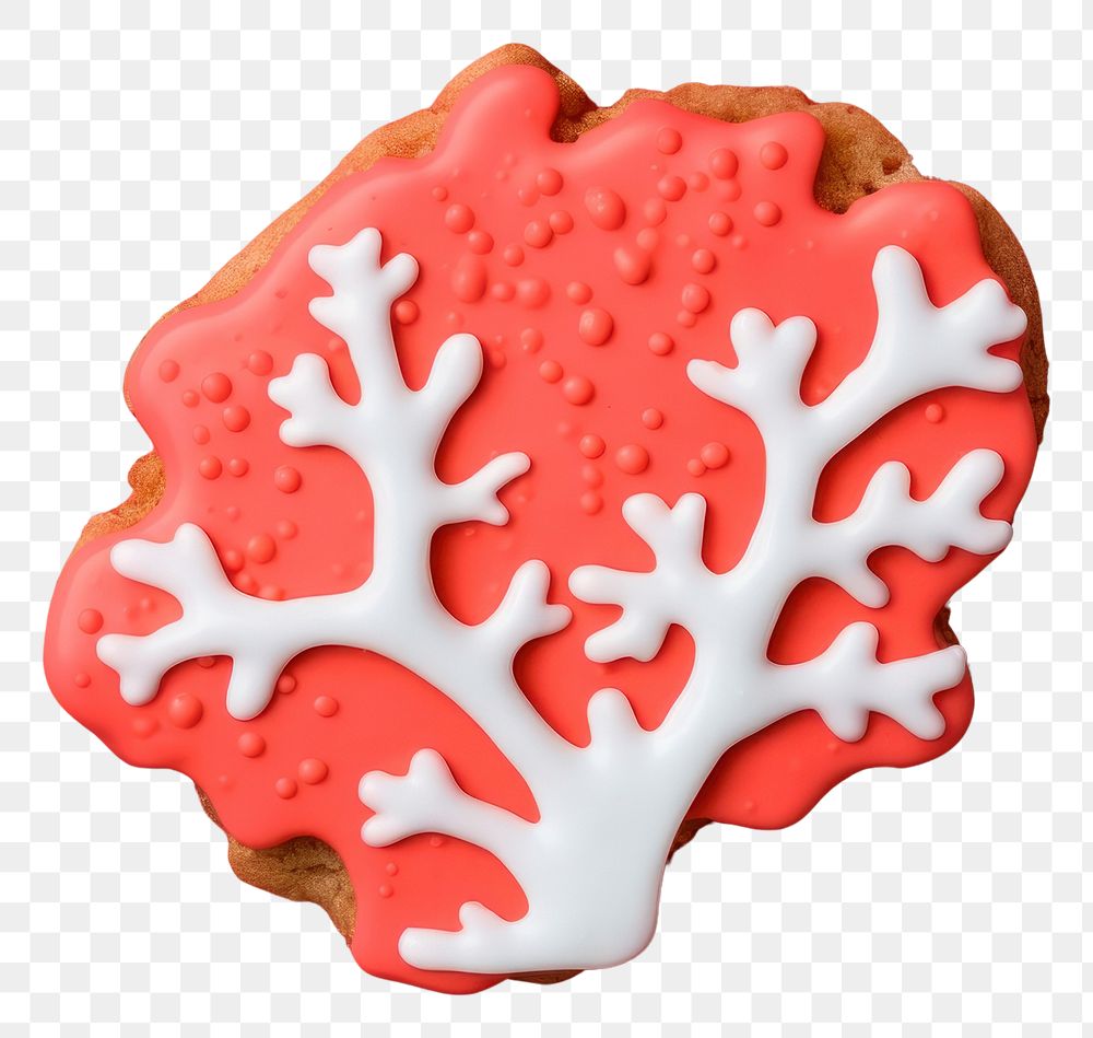 PNG Coral dessert cookie icing.