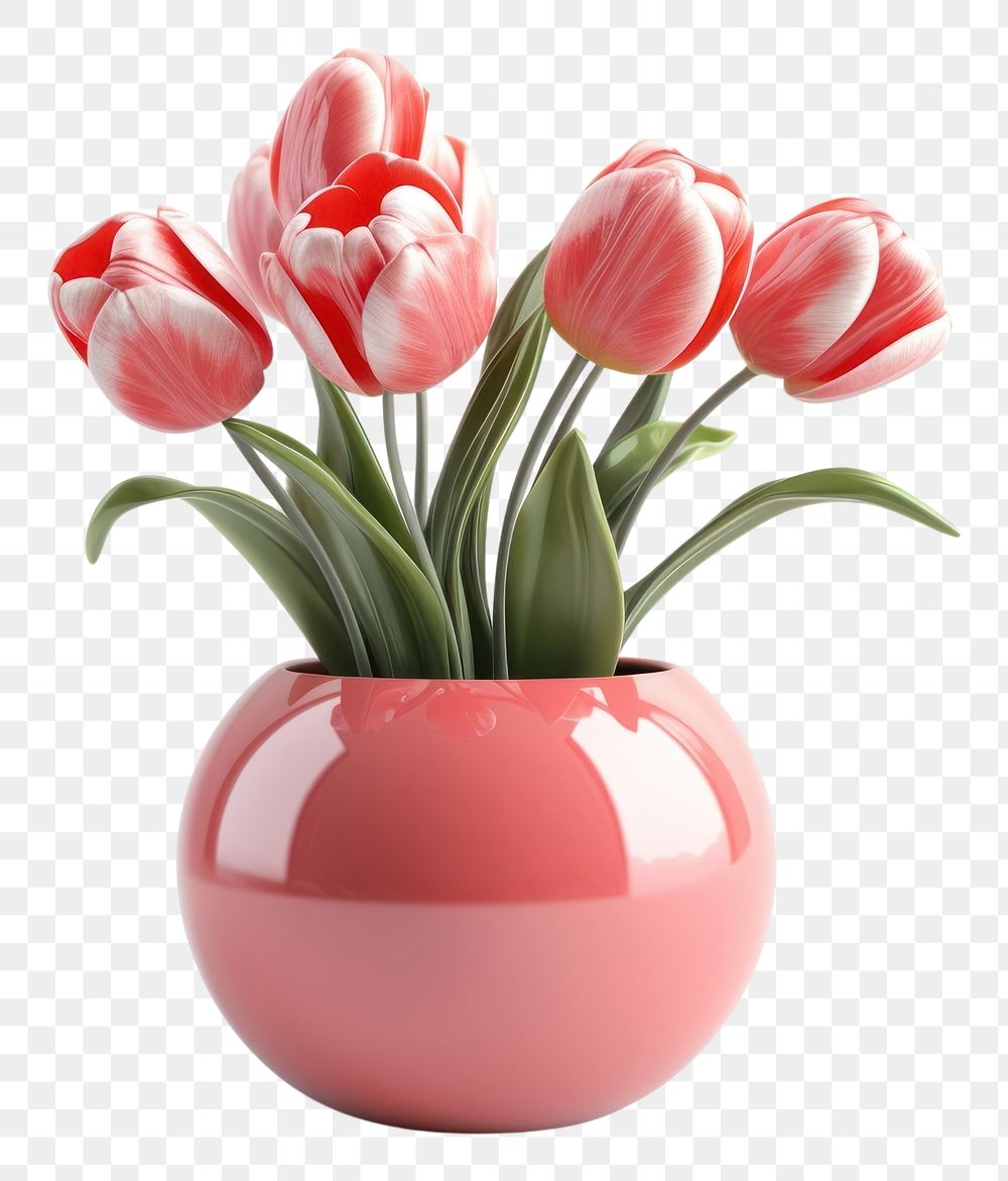 PNG Tulips flower plant vase.