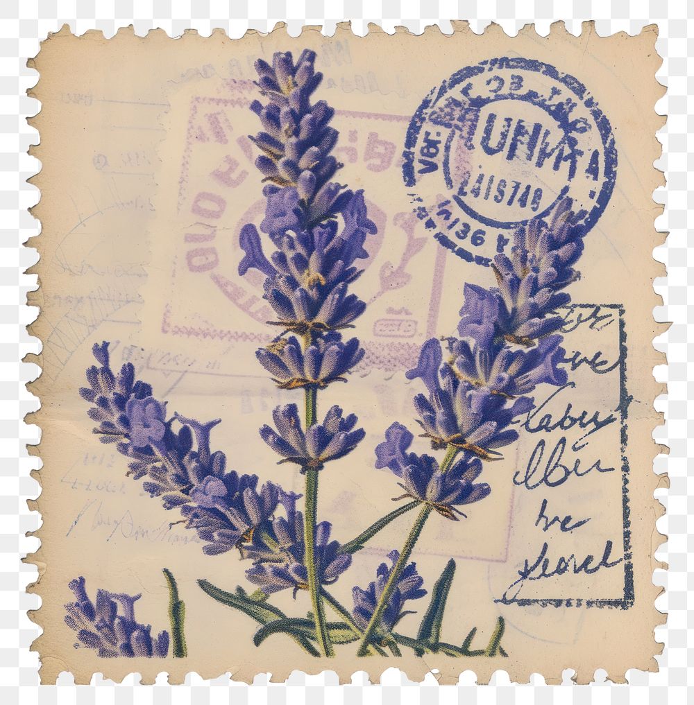 PNG Vintage postage stamp with lavender flower plant paper
