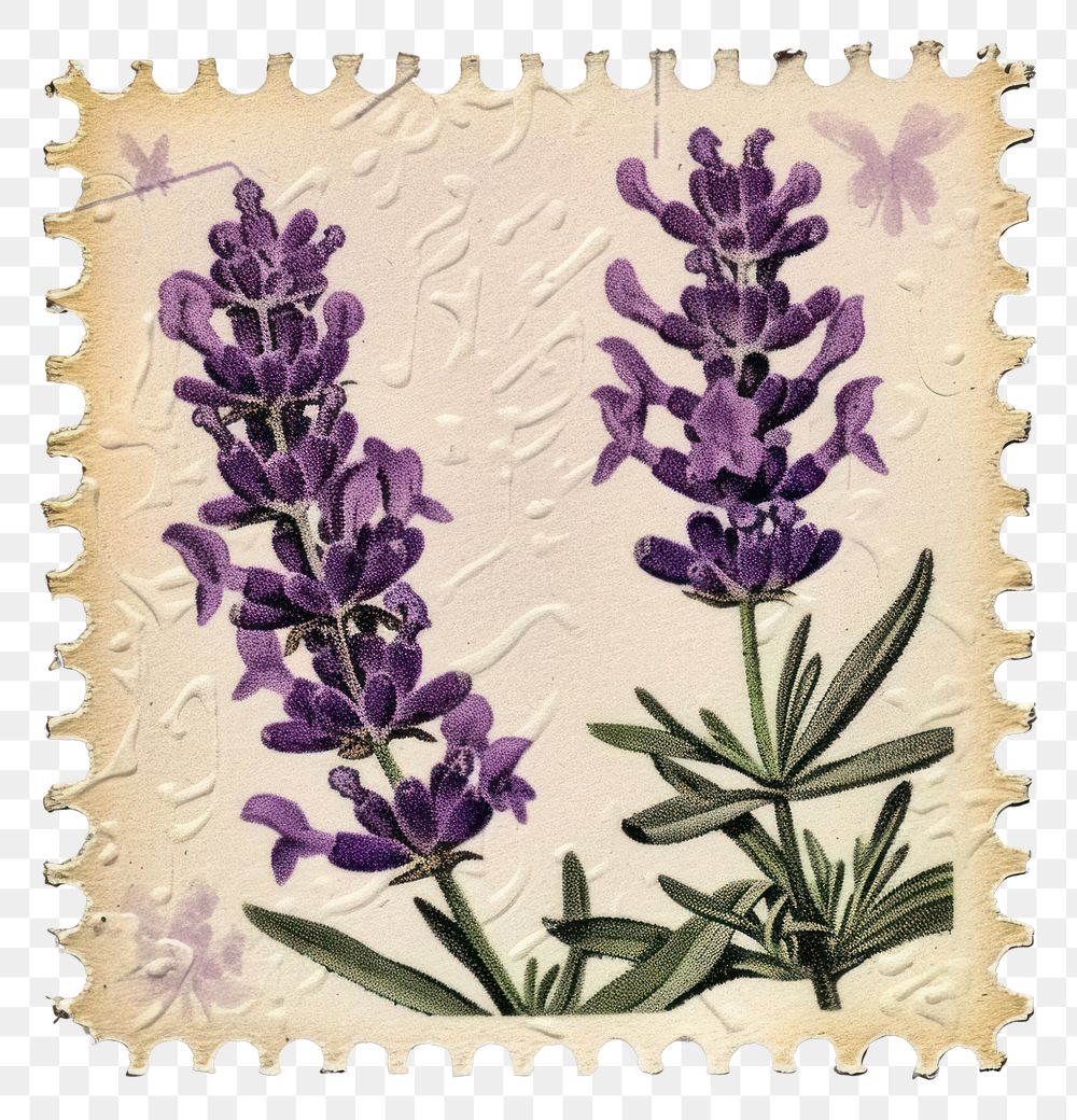 PNG Vintage postage stamp with lavender flower purple plant.