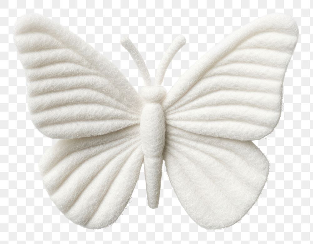 PNG Butterfly white animal insect.