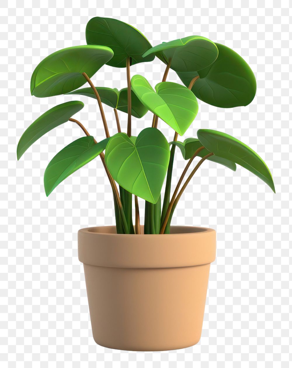 PNG Potted plant flower leaf white background.
