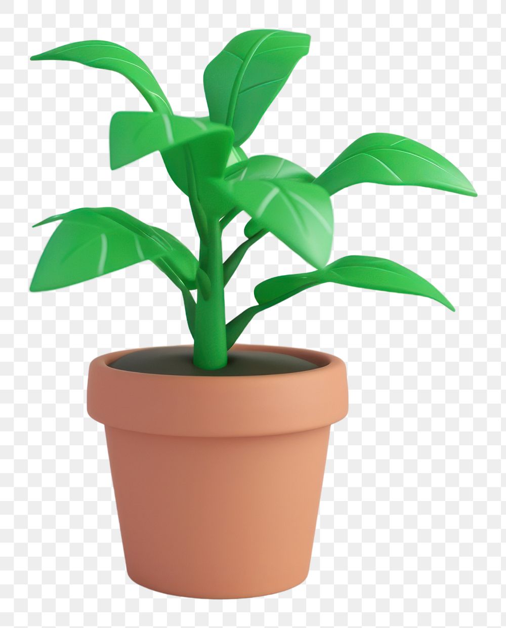 PNG Potted plant leaf houseplant terracotta.